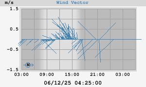 Wind Vector